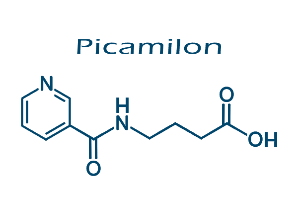 Picamilon