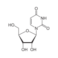 Uridine (25g)
