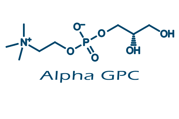 [88] Alpha GPC (50g)