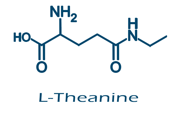 [74] L Theanine