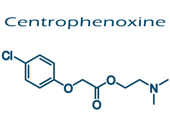 centrophenoxine powder